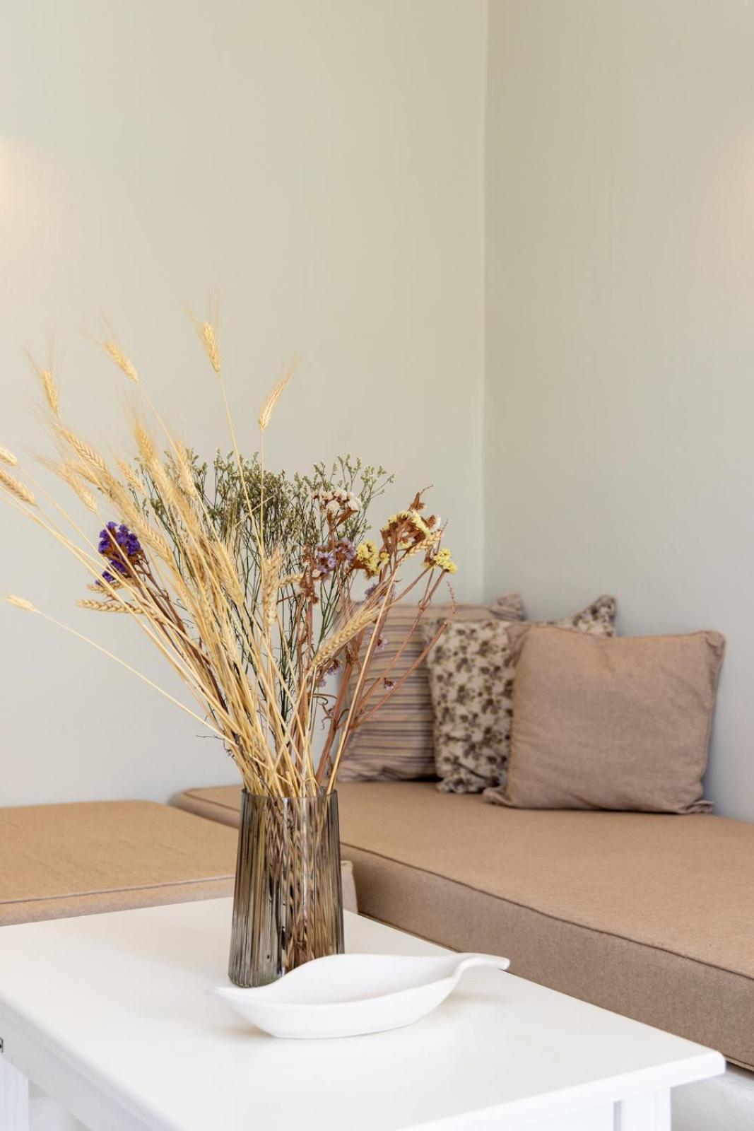 Soulmate'S Suites Tinos Kionia Eksteriør billede